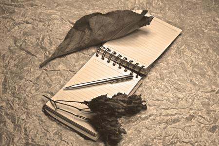 记事本, 干枯的落叶, 美术, 光画, 钢笔, 备注, 浪漫
