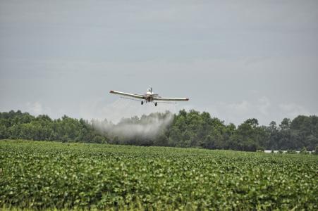 飞机, 农作物除尘器, 危险, 农业, 飞机, 农场, 航空