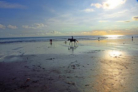 金巴兰海滩, 金巴兰, 巴厘岛, 印度尼西亚, 低潮, 太阳落山的起点, 骑马