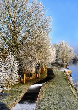 冬天的雪, 河边香农, 在县朗福德, 爱尔兰