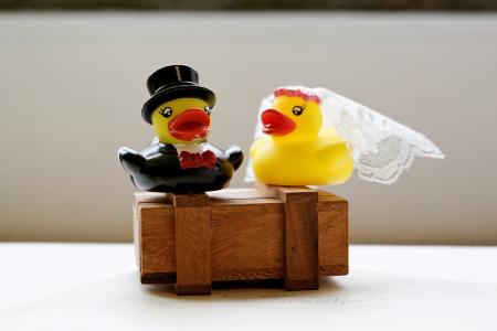 婚礼, 面纱, 油缸, 运气, 永恒, 对鸭子