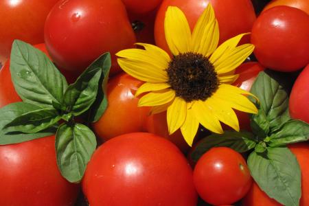 西红柿, 向日葵, 罗勒, 夏季, 食品, 素食主义者, 新鲜