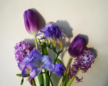 束花, 蓝紫色颜色, 切花, 花, 紫色, 特写, 植物