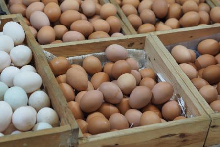 鸡蛋, 小组, 出售, 食品, 原料, 自然, 食品