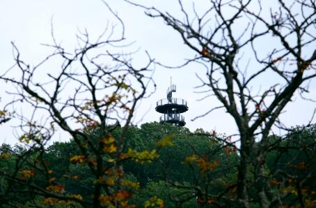 观测塔, 观察哨所, 前景, 遥远, 秋天, 公园, 森林