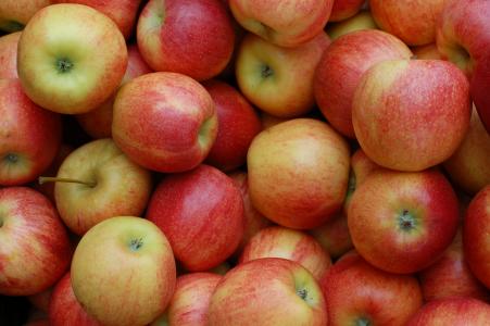 苹果, 红色, 水果, 果园, 食品, 新鲜, 苹果-水果