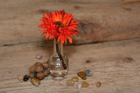 花, 塑料花, 艺术插花, 红色, 石头, 花瓶, 木材