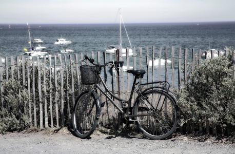 海滩, 自行车, 假日, 海, 侧, 太阳, 夏季