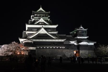 日本, 熊本, 熊本城, 城堡, 晚上, 樱桃