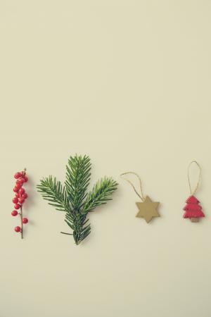 圣诞节, 装饰, 饰品, 冬天, 分公司, 枞树, 赛季