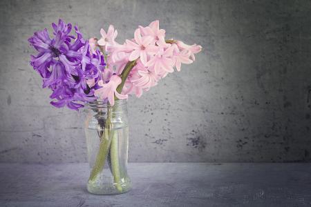 风信子, 花, 花瓶, 玻璃, 芬芳的花朵, schnittblume, 紫色