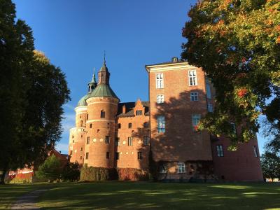 gripsholm 城堡, 城堡, 秋天, mariefred, 瑞典, 汉密尔