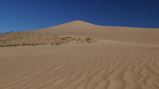 蒙古, 沙漠, 结构, 沙丘