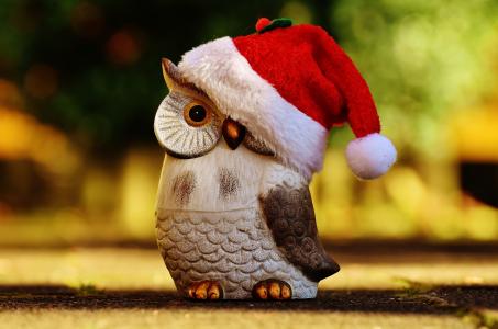 圣诞节, 猫头鹰, 圣诞老人的帽子, 沉思的, 图, 装饰, 可爱