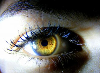 眼睛, 棕色, 黄色, 光, 虹膜, 着色, 人类的眼睛