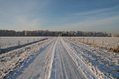 冰冻道路, 冬天, 冬天的树, 钢蓝色天空, 冬季景观, 圣诞图片, 冬天的场景