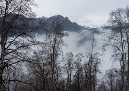 冬天, 阿塞拜疆, 森林, 雾, 景观, 云彩, 冷