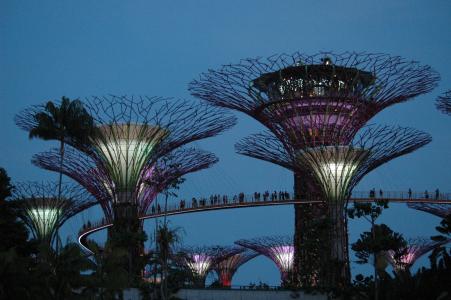 新加坡花园, 吸引力, 树木, 公园