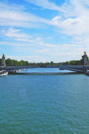其, 巴黎, 河, 桥梁, 法国, 水, 旅行