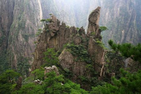 中国, 黄山, 柏树, 老君岩, 树木, 没有人, 自然