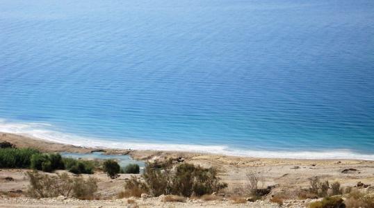 死海, 以色列, 海岸, 海滩