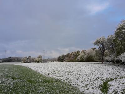 4 月, 雪, 自然, 草甸, 四月的天气