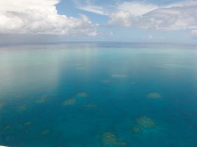 大堡礁, 跳水, 珊瑚, 海洋, 太平洋, 顺利, 反映了