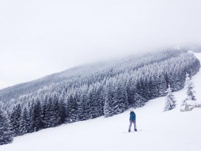 滑雪, 滑雪, 单板滑雪, 山, 体育, 冬天, 雪