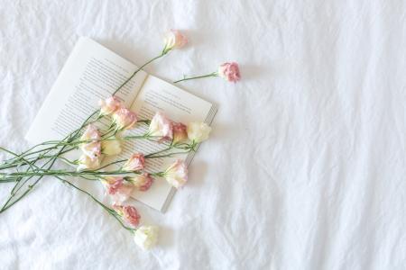 书和花的床