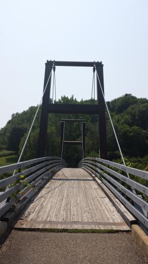 钢, 桥梁, 灵, 佛蒙特州, intervale, 行人天桥, 桥-男人作结构