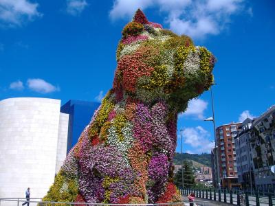 小狗, 花, 毕尔巴鄂, gughenheim, 西班牙