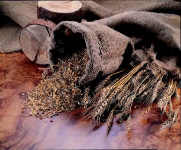 精品麦芽, 木材的头, 意境, 木材-材料, 木柴, 自然, 堆