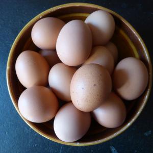 鸡蛋, 母鸡的蛋, 食品, 营养, 鸡产品, 蛋壳, 蛋白