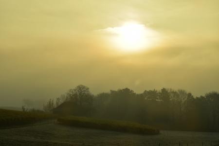 景观, morgenstimmung, 日出, 雾, 回光, 树木, 小山