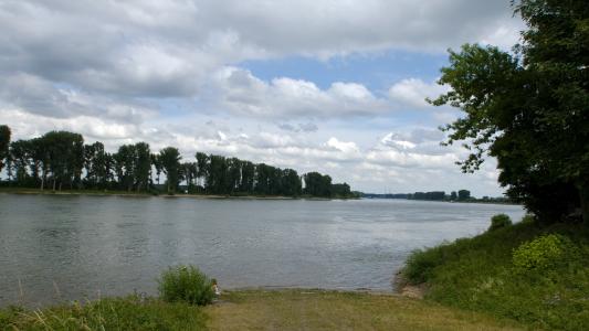 莱茵河, 水, 河道景观, 银行