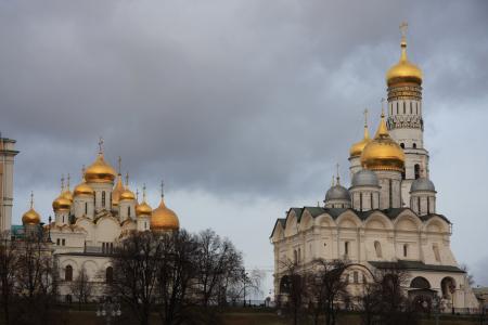 大教堂, 克里姆林宫, 莫斯科, 俄罗斯, 圆顶