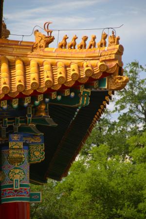屋顶, 中国, 龙, 紫禁城, 建筑, 北京, 宫