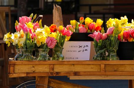 花车, 花, 出售, 郁金香, 水仙花, 户外市场, 花香
