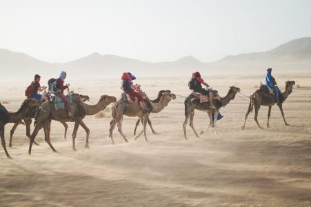 动物, 骆驼, 沙漠, 山脉, 人, 沙子, 游客