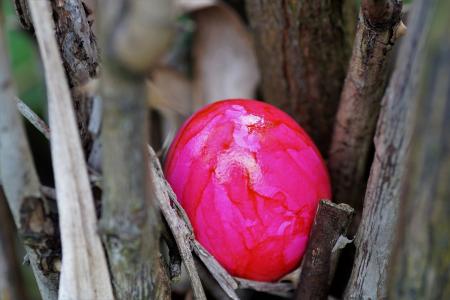鸡蛋, 复活节彩蛋, 复活节, 隐藏, 传统的, 分离, 春天