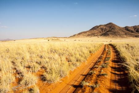 纳米比亚, wolwedans, 纳米边缘, 沙漠, 走了, 沙子, 自然