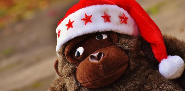圣诞节, 圣诞老人的帽子, 毛绒玩具, 软玩具, 猴子, 大猩猩, 圣诞老人