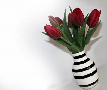 郁金香, 花束, 花瓶, 花, 红色, 条纹, 春天
