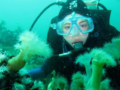跳水, 水肺潜水, 海底, 珊瑚, 阿根廷南部, 自然, 海洋