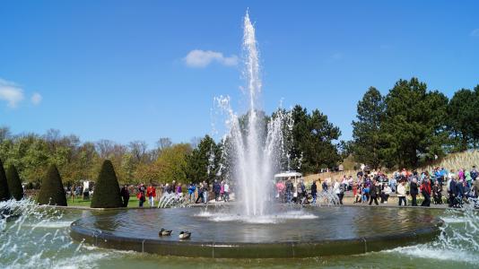 喷泉, 在库肯霍夫, 荷兰