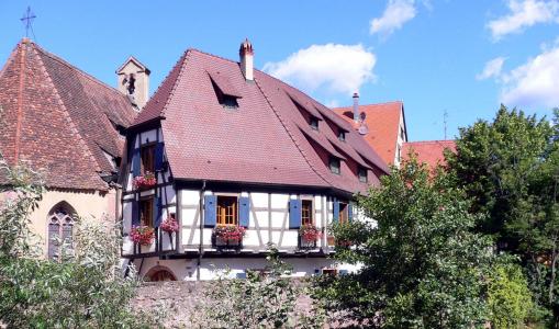 fachwerkhaus, kaysersberg, 阿尔萨斯, 法国, 家园, 墙上, 树木