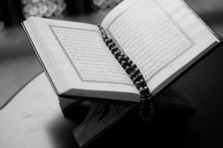 书, 特写, 信心, 圣洁, 伊斯兰, 古兰经 》, 宏观