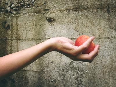 桃子, 水果, 手, 给