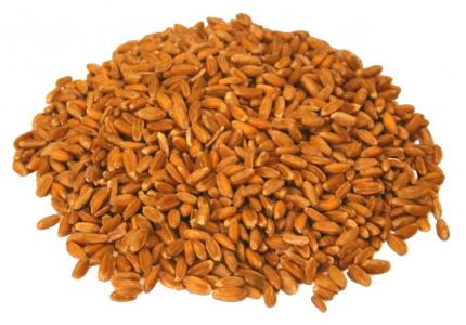 大麦, 粮食, 谷物, 全麦, 成分, 小麦, 黑麦