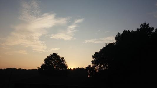 日出, 树木, 云彩, 地平线, 现场, 户外